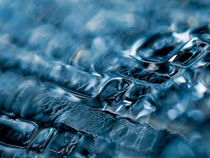 Macros and Close-ups